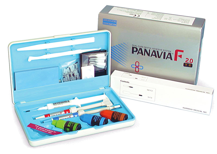 Panavia - F 2.0 - Intro Kit - Tooth Color - Click Image to Close